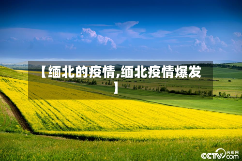 【缅北的疫情,缅北疫情爆发】
