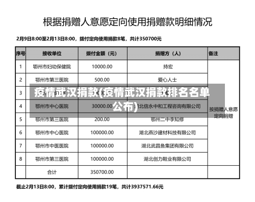 疫情武汉捐款(疫情武汉捐款排名名单公布)-第2张图片