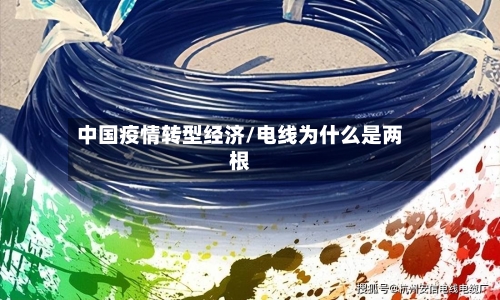 中国疫情转型经济/电线为什么是两根