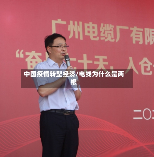 中国疫情转型经济/电线为什么是两根-第3张图片