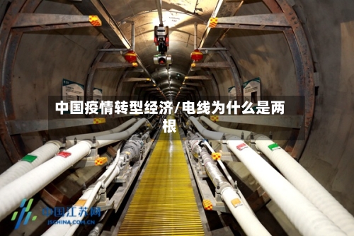中国疫情转型经济/电线为什么是两根-第2张图片