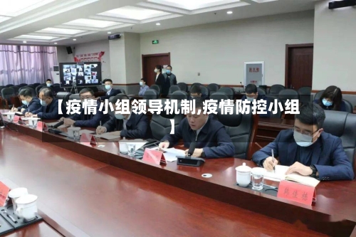 【疫情小组领导机制,疫情防控小组】-第2张图片