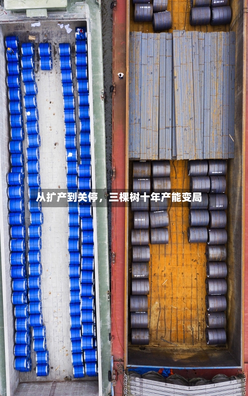 从扩产到关停	，三棵树十年产能变局-第3张图片