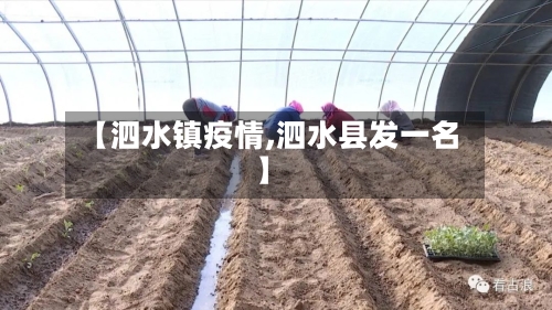 【泗水镇疫情,泗水县发一名】