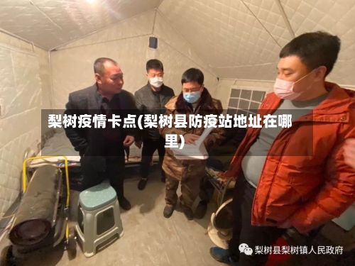 梨树疫情卡点(梨树县防疫站地址在哪里)