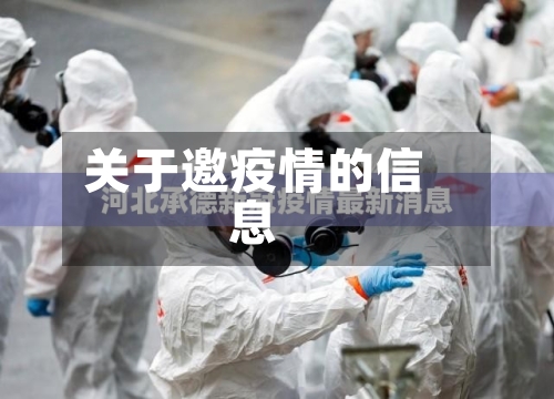 关于邀疫情的信息