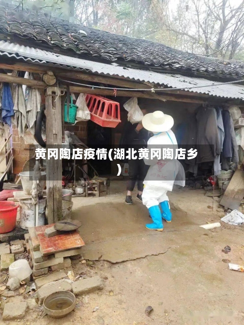 黄冈陶店疫情(湖北黄冈陶店乡)