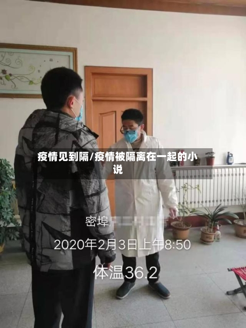 疫情见到隔/疫情被隔离在一起的小说-第2张图片