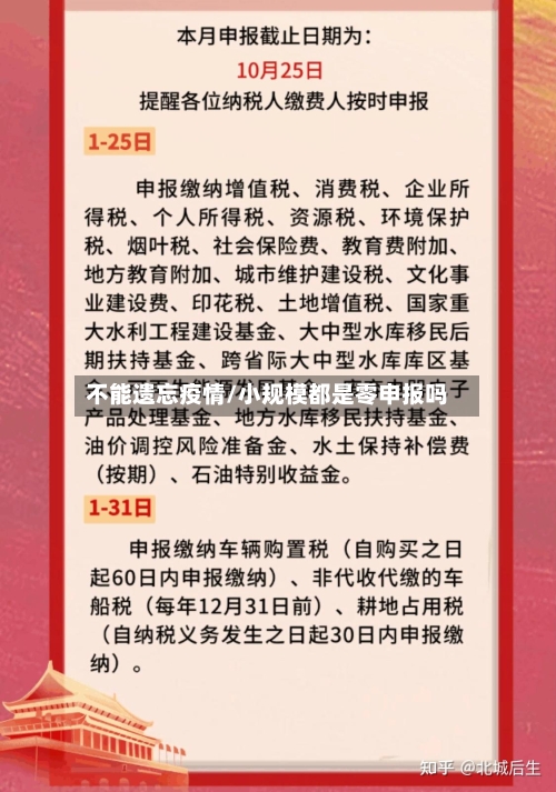 不能遗忘疫情/小规模都是零申报吗-第2张图片
