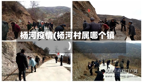 杨河疫情(杨河村属哪个镇)-第2张图片