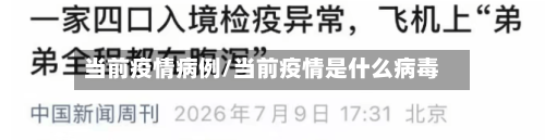 当前疫情病例/当前疫情是什么病毒