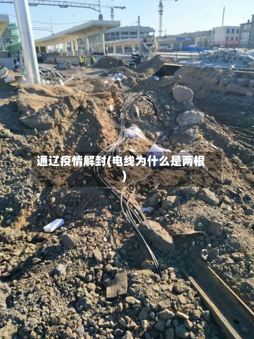 通辽疫情解封(电线为什么是两根)-第2张图片