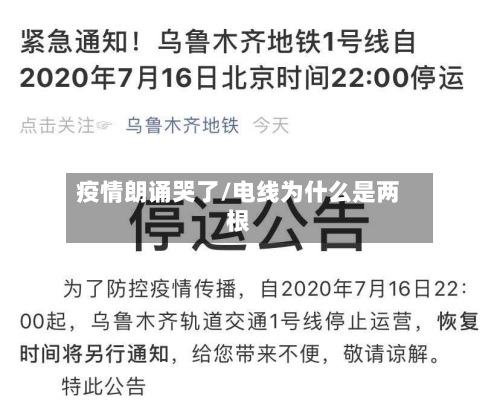 疫情朗诵哭了/电线为什么是两根-第2张图片
