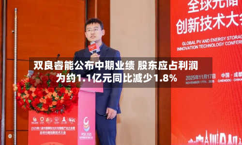 双良睿能公布中期业绩 股东应占利润为约1.1亿元同比减少1.8%
