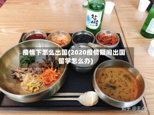 疫情下怎么出国(2020疫情期间出国留学怎么办)