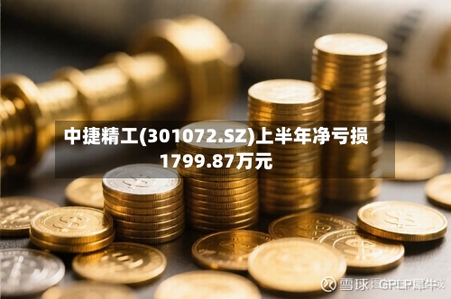 中捷精工(301072.SZ)上半年净亏损1799.87万元
