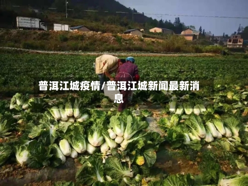 普洱江城疫情/普洱江城新闻最新消息