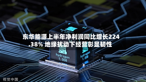 东华能源上半年净利润同比增长224.38% 地缘扰动下经营彰显韧性-第2张图片