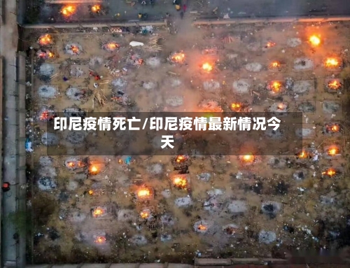 印尼疫情死亡/印尼疫情最新情况今天-第3张图片
