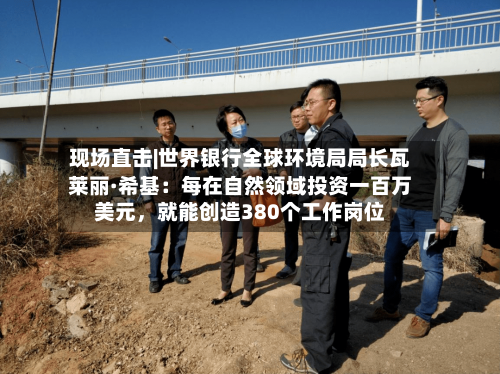 现场直击|世界银行全球环境局局长瓦莱丽·希基：每在自然领域投资一百万美元，就能创造380个工作岗位-第3张图片