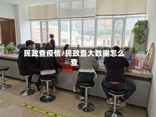 民政查疫情/民政查大数据怎么查-第2张图片