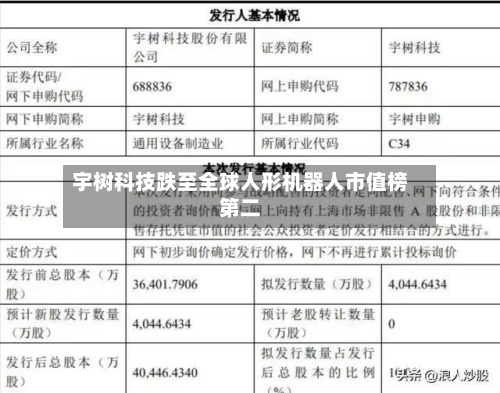 宇树科技跌至全球人形机器人市值榜第二
