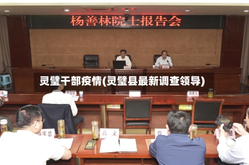 灵璧干部疫情(灵璧县最新调查领导)