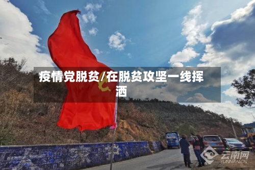 疫情党脱贫/在脱贫攻坚一线挥洒