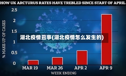 湖北疫情丑事(湖北疫情怎么发生的)