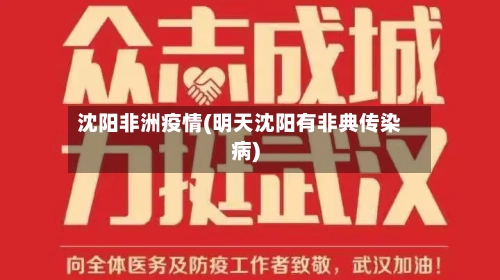 沈阳非洲疫情(明天沈阳有非典传染病)