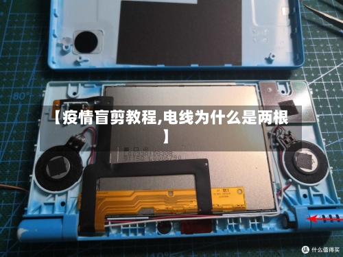 【疫情盲剪教程,电线为什么是两根】-第2张图片