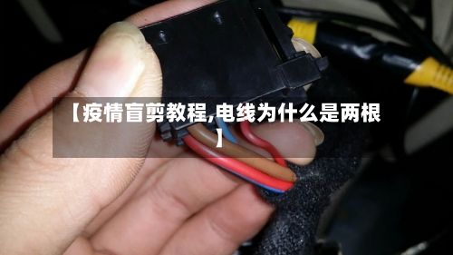 【疫情盲剪教程,电线为什么是两根】