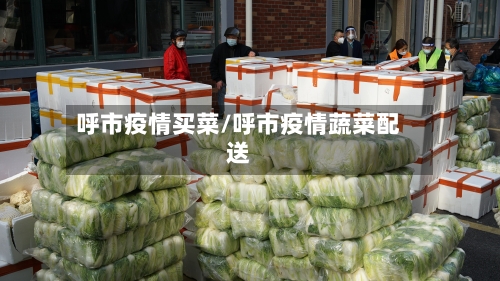 呼市疫情买菜/呼市疫情蔬菜配送-第2张图片