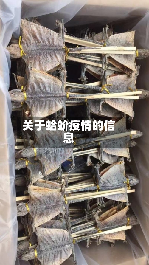 关于蛤蚧疫情的信息