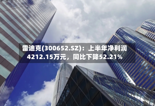 雷迪克(300652.SZ)：上半年净利润4212.15万元，同比下降52.21%-第2张图片