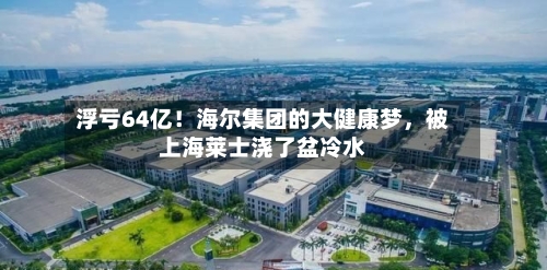 浮亏64亿！海尔集团的大健康梦，被上海莱士浇了盆冷水-第2张图片