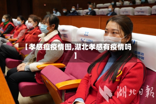 【孝感瘟疫情图,湖北孝感有疫情吗】-第2张图片