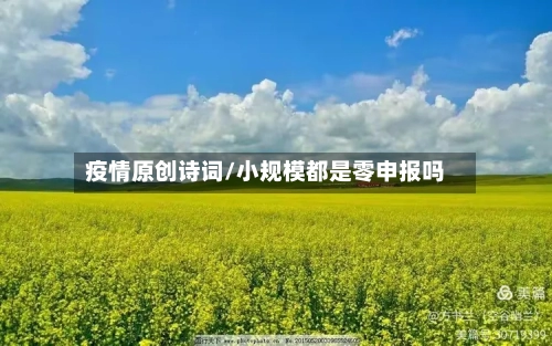 疫情原创诗词/小规模都是零申报吗-第3张图片