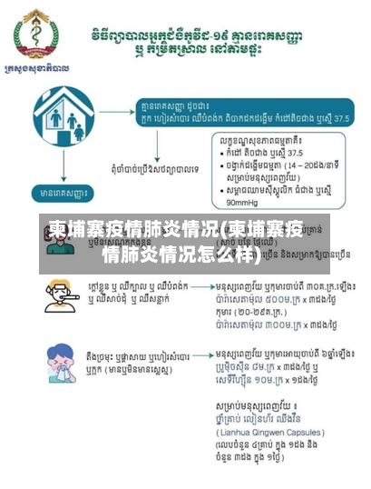 柬埔寨疫情肺炎情况(柬埔寨疫情肺炎情况怎么样)-第2张图片