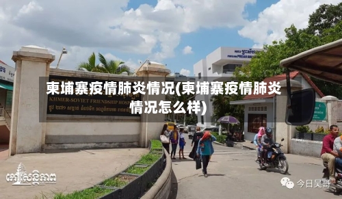 柬埔寨疫情肺炎情况(柬埔寨疫情肺炎情况怎么样)-第3张图片