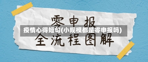 疫情心得短句(小规模都是零申报吗)