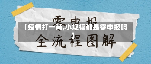 【疫情打一肖,小规模都是零申报吗】