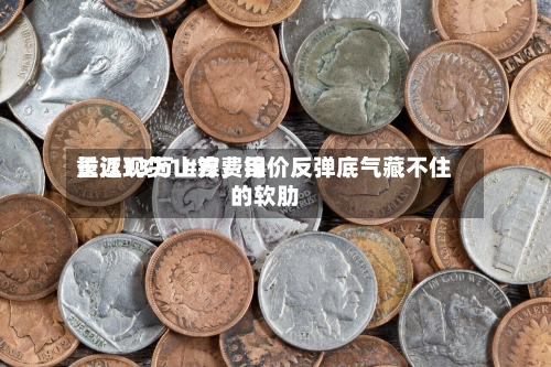 长江现货1#镍费用重返13万上方，镍价反弹底气藏不住的软肋