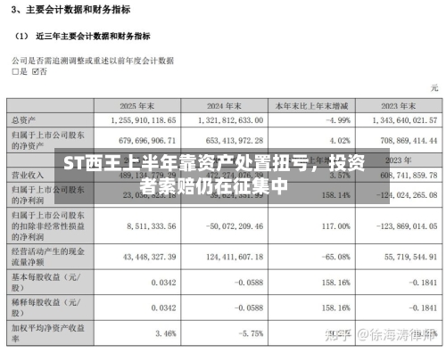 ST西王上半年靠资产处置扭亏，投资者索赔仍在征集中-第3张图片