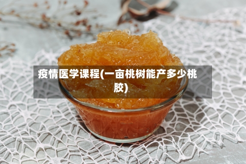 疫情医学课程(一亩桃树能产多少桃胶)-第3张图片