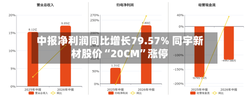 中报净利润同比增长79.57% 同宇新材股价“20CM”涨停-第2张图片