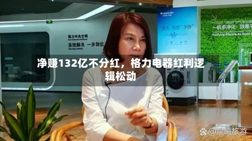 净赚132亿不分红	，格力电器红利逻辑松动-第3张图片