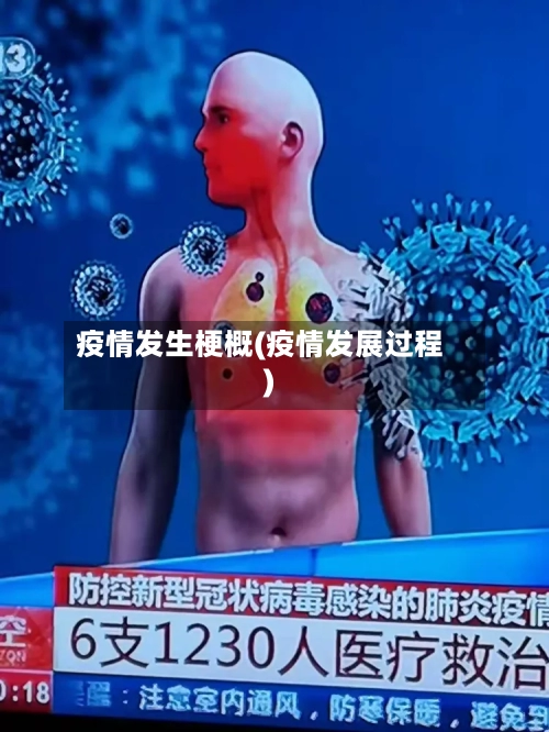 疫情发生梗概(疫情发展过程)
