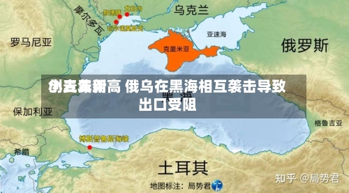 小麦费用
创三年新高 俄乌在黑海相互袭击导致出口受阻-第3张图片