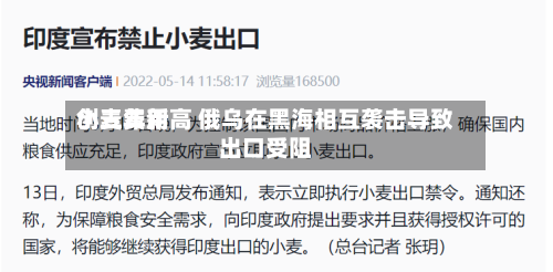 小麦费用
创三年新高 俄乌在黑海相互袭击导致出口受阻-第2张图片